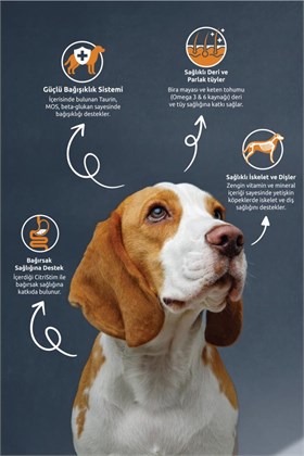 Reflex Kuzu Etli ve Sebzeli Yetişkin Köpek Maması 3 kg
