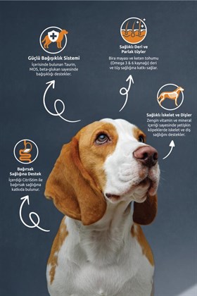 Reflex Kuzu Etli ve Sebzeli Yetişkin Köpek Maması 3 kg