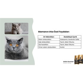 Reflex Plus British Shorhair Yetişkin Kedi Mama.1.5 Kg