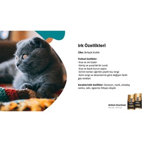 Reflex Plus British Shorhair Yetişkin Kedi Mama.1.5 Kg
