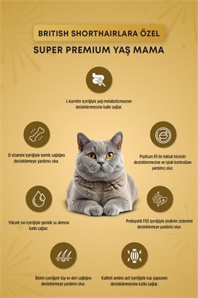 Reflex Plus Britsh Shorthair Yetişkin Kedi Konservesi 85gr x 6 Adet
