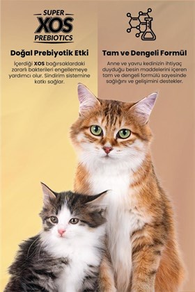 Reflex Plus Mother & Babycat Kuzu Etli 1.5 Kg Yavru Kedi Maması