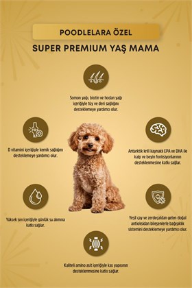 Reflex Plus Poodle Yetişkin Köpek Konservesi 85gr