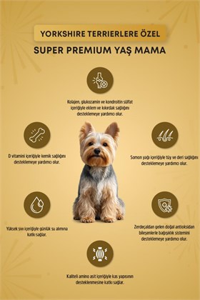 Reflex Plus Pouch Yorkshire Terrier Yaş Yetişkin Köpek Maması 85gr