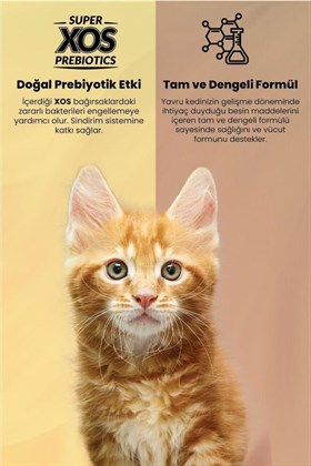 Reflex Plus Somonlu Yavru Kedi Maması 1,5 Kg