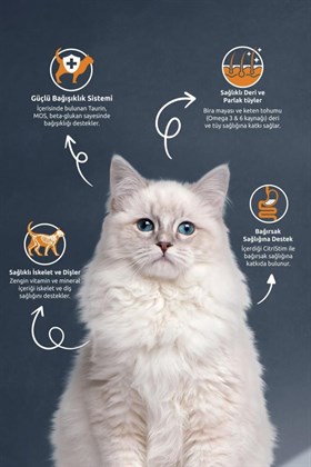 Reflex Somonlu & Hamsili Yetişkin Kedi Maması 2 Kg