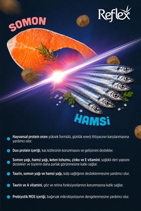 Reflex Somonlu ve Hamsili Yetişkin Kedi Maması 2 kg