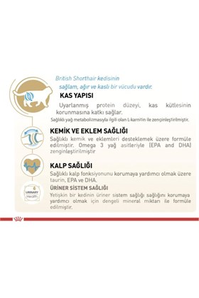 Royal Canin British Shorthair Için Kuru Kedi Maması 10kg