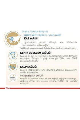 Royal Canin British Shorthair Için Kuru Kedi Maması 10kg