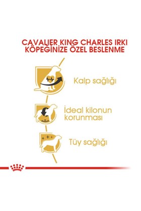 Royal Canin Cavalier King Charles 27 Yetişkin Köpek Maması 3 kg
