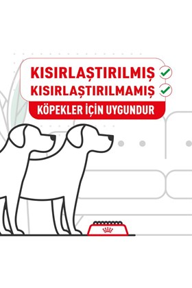 Royal Canin Cavalier King Charles 27 Yetişkin Köpek Maması 3 kg