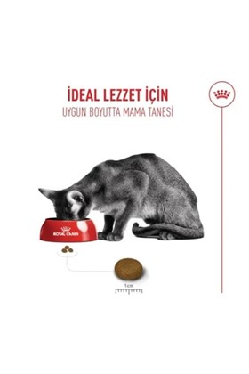 Royal Canin Fussy Exigent Seçici Yetişkin Kedi Maması 2 Kg