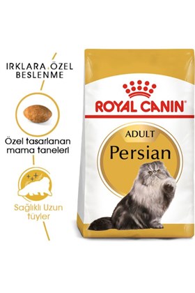 Royal Canin İran Kedisi Için Yetişkin Kedi Maması 10kg
