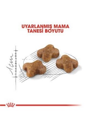 Royal Canin Kitten Kedi Kuru Maması 4 Kg