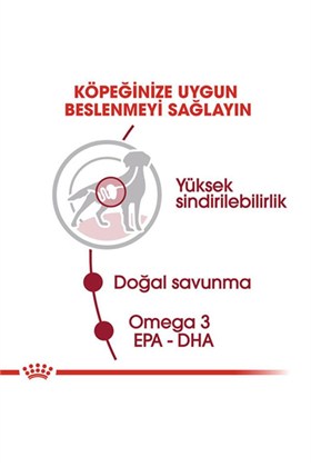 Royal Canin Medium Adult Gravy Yetişkin Köpek Konservesi 10 Adet 140 gr