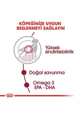Royal Canin Medium Adult Gravy Yetişkin Köpek Konservesi 10 Adet 140 gr
