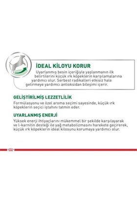 Royal Canin Mini Adult Yetişkin Köpek Yaş Maması 85 gr X 12 Adet
