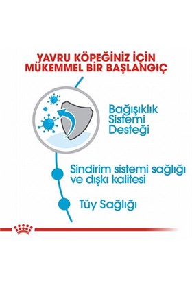 Royal Canin Mini Indoor Puppy Küçük Irk Yavru Köpek Maması 1,5 Kg