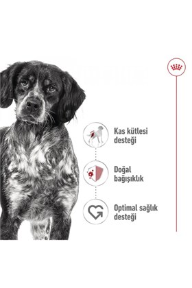Royal Canin Orta Irklar Için Yaş Konserve Köpek Maması 410g