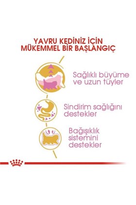 Royal Canin Persian Kitten Iran Yavru Kedi Maması 2 Kg