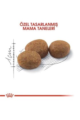 Royal Canin Sterilised 37 Kedi Kuru Maması 2 Kg