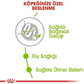 Royal Canin X-Small Küçük Irk Köpek Maması 3 Kg