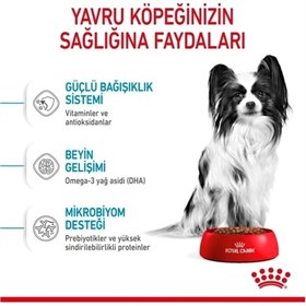 Royal Canin X-Small Puppy Küçük Irk Yavru Köpek Maması 3 Kg