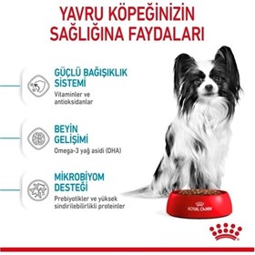 Royal Canin X-Small Puppy Küçük Irk Yavru Köpek Maması 3 Kg