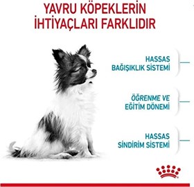Royal Canin X-Small Puppy Küçük Irk Yavru Köpek Maması 3 Kg
