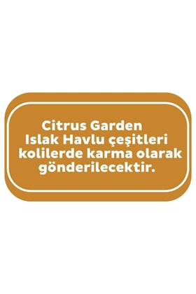 Sleepy Citrus Garden Lemon Islak Mendil 90 x 3