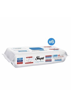 Sleepy Easy Clean Çamaşır Suyu Katkılı Mopa Uyumlu Yer Temizlik Havlusu&mendili 6x50 (300 YAPRAK)
