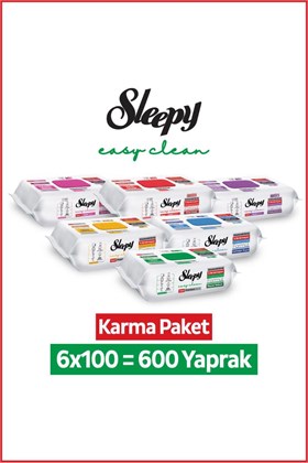Sleepy Easy Clean Premium + Çiçek Serisi Yüzey Temizlik Havlusu Mendili 6x100 Karma Paket
