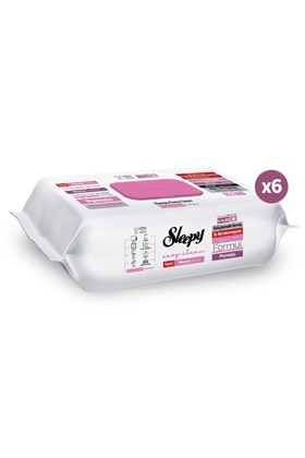 Sleepy Meyve Serisi Yüzey Temizlik Havlusu Mendili Pomelo 6x100 (600 Yaprak)