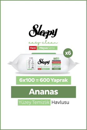 Sleepy Meyve Serisi Yüzey Temizlik Havlusu Mendili Ananas 6x100 (600 Yaprak)