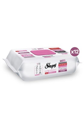 Sleepy Meyve Serisi Yüzey Temizlik Havlusu Mendili Pomelo 12x100 (1200 Yaprak)