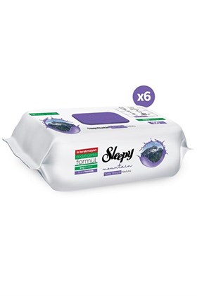 Sleepy Mountain Yüzey Temizlik Havlusu&Mendili Dağ Esintisi 6x100 (600 Yaprak)