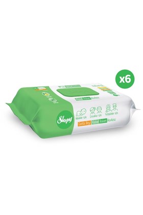 Sleepy Natural Kişisel Bakım Havlusu Çanta Boy 6x25 (150 Yaprak)