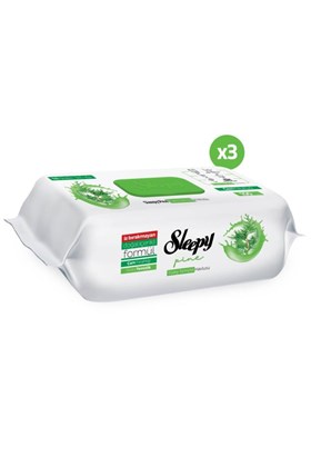 Sleepy Pine Yüzey Temizlik Havlusu&Mendili Çam Ferahlığı 3x100 (300 Yaprak)