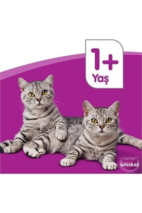 Whiskas Sığırlı Pure Delight Yetişkin Kedi Yaş Maması 28x85 gr