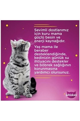 Whiskas Sığırlı Pure Delight Yetişkin Kedi Yaş Maması 28x85 gr