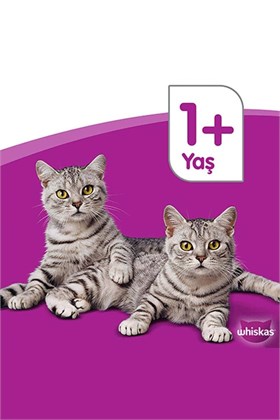 Whiskas Tasty Mix Kuzu&hindi Kedi Maması 85 gr 24x