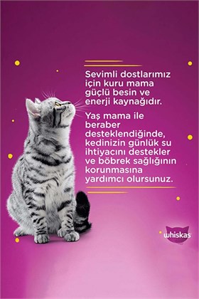 Whiskas Tasty Mix Kuzu&hindi Kedi Maması 85 gr 24x