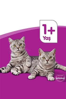 Whiskas Tasty Mix Kuzu&hindi Kedi Maması 85 gr 24x