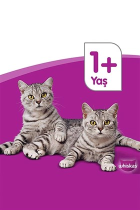 Whiskas Tavuklu Sebzeli Kuru Kedi Maması 300 gr