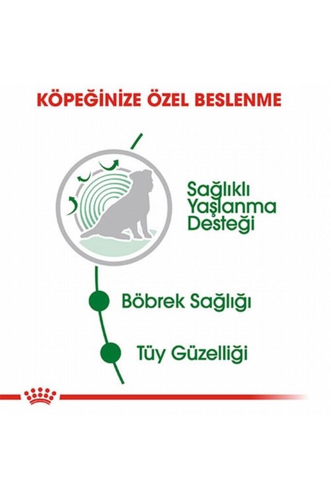 Royal Canin Mini Ageing 12 Pouch Yaşlı Köpek Konservesi 12 Adet 85 gr