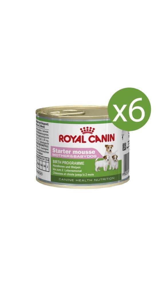 Royal Canin Starter Mousse Mother Babydog Yavru Köpek Konservesi 195 Gr x 6