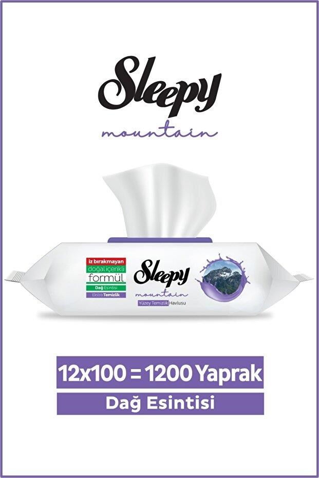 Sleepy Mountain Yüzey Temizlik Havlusu&Mendili Dağ Esintisi 12x100 (1200 Yaprak)
