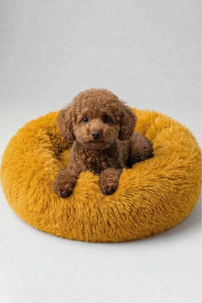 United Colors of Benetton BNTMKT-0012-OR Uzun Kürklü Donut Kedi&Köpek Yatağı Turuncu 55 CM
