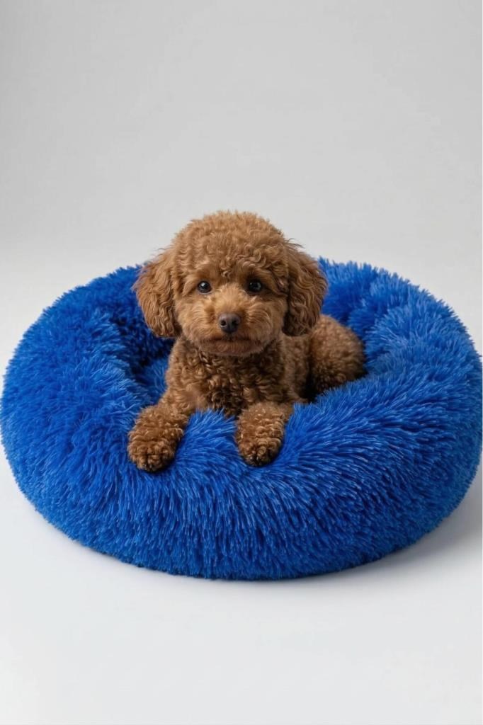 United Colors of Benetton BNTMKT-0012-2-BL Uzun Kürklü Donut Kedi&Köpek Yatağı Mavi 55 CM