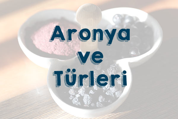 Aronya ve Aronya Türleri